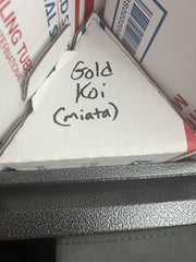 Koi Livery - Gold Miata Sized - No Errors