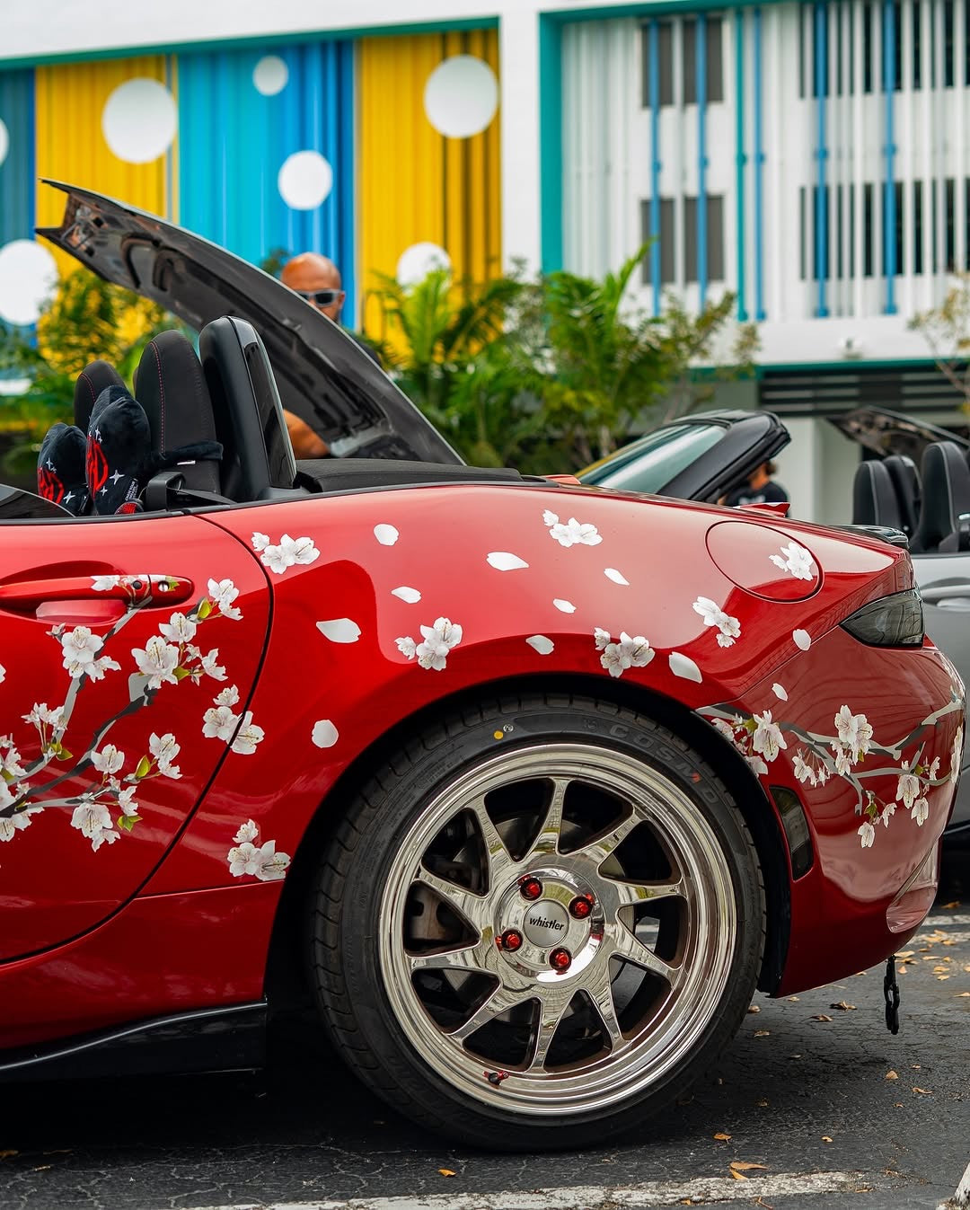 White cherry blossom Sakura car livery decals