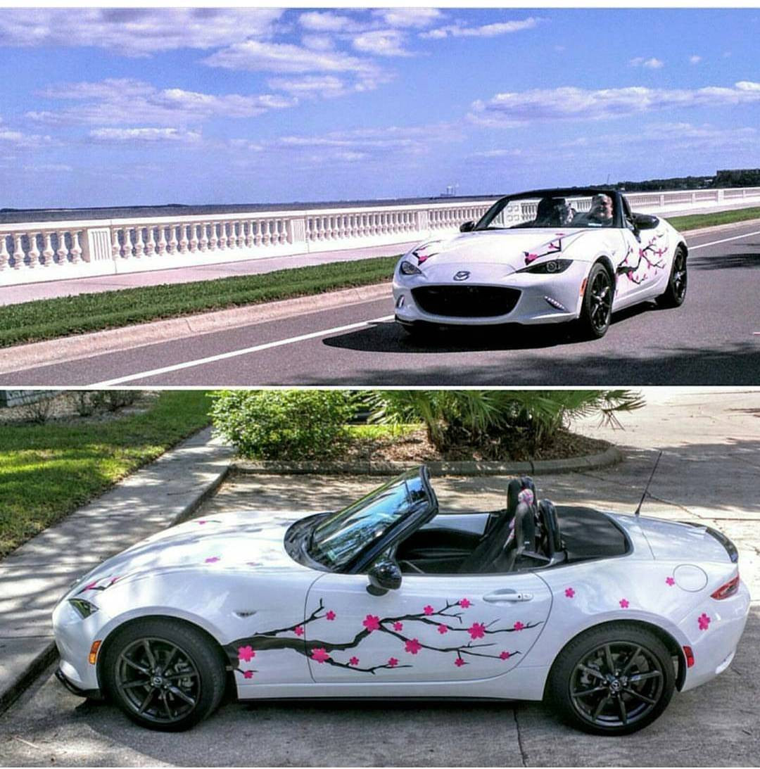 Sakura Tree Vehicle Livery