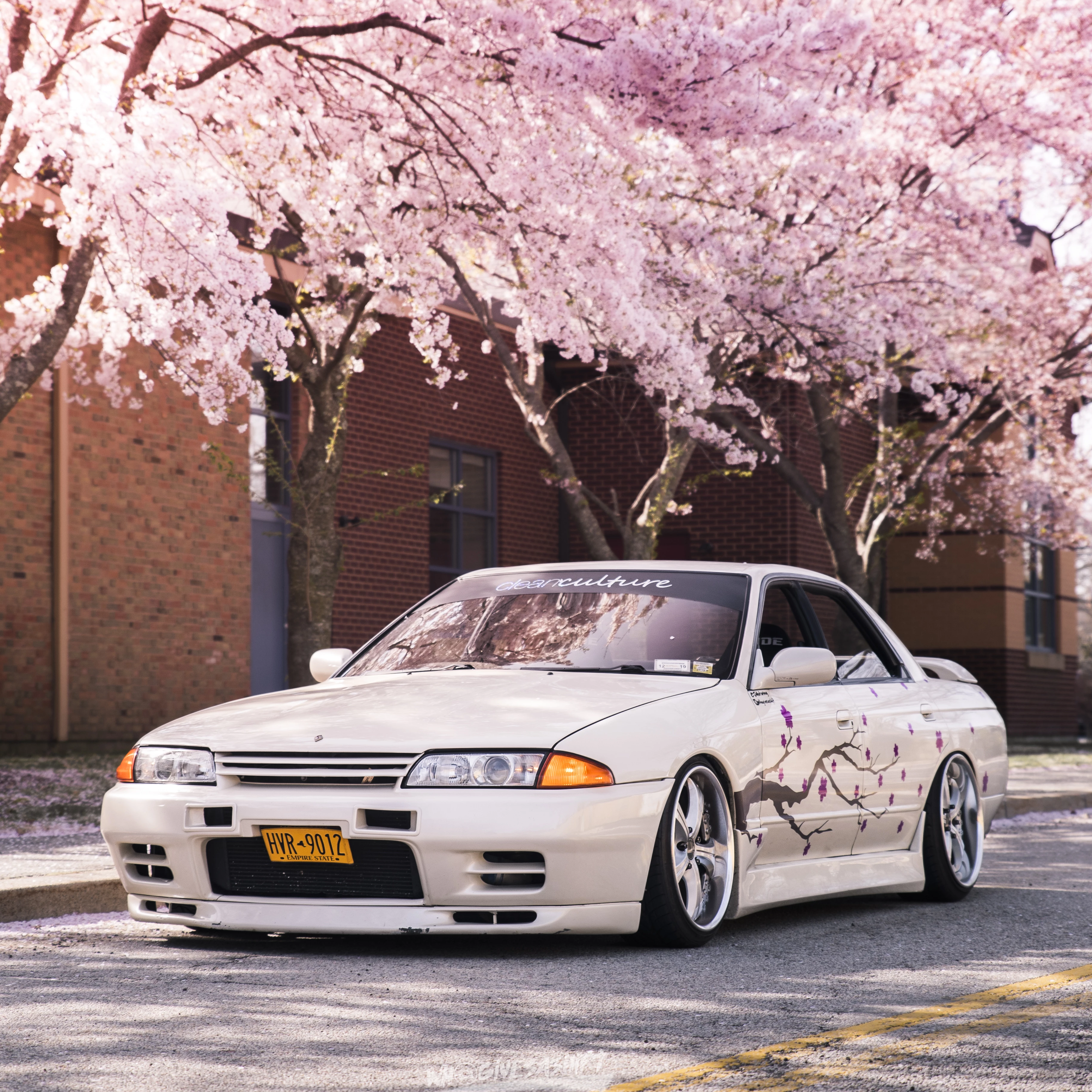 Cherry Blossom Car