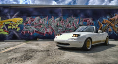 Fat Style Roadster Side Stripes