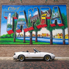 Fat Style Roadster Side Stripes