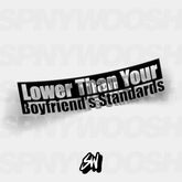 lower than your boyfriend's standards vinyl car sticker