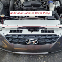 Hyundai Genesis (09-12) Radiator Panel