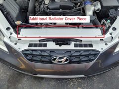 Hyundai Genesis (09-12) Radiator Panel