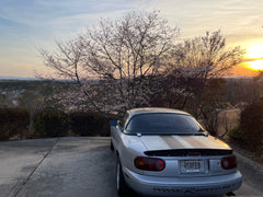 Black Vinyl Miata Stripes