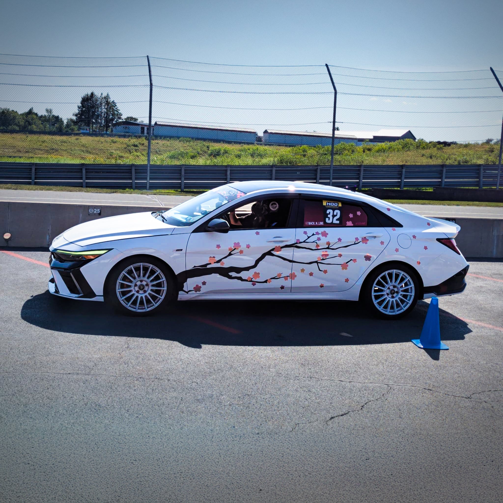 Original Die-Cut Sakura Tree Livery – Spinnywhoosh Graphics