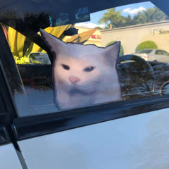 Confused Cat meme Decal