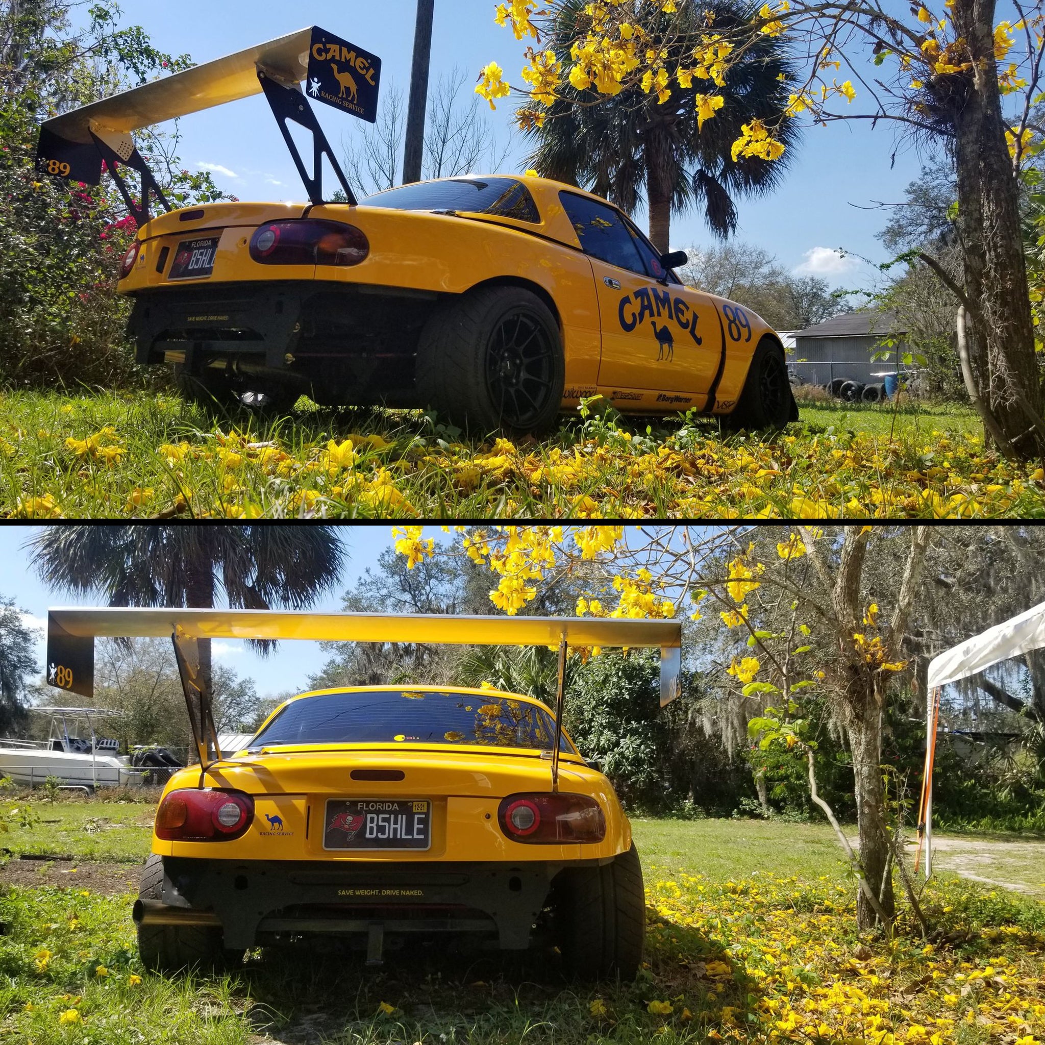 Nine Lives Racing Banner – Spinnywhoosh Graphics