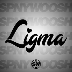 Ligma Decal