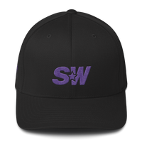 Spinnywhoosh Fitted Cap - Purple
